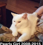 Pearly Girl 2008-2015